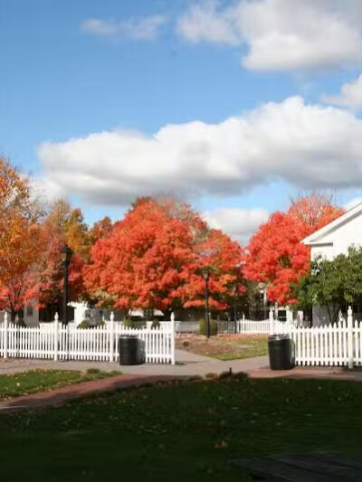The Burgh Historical Park - Southfield,
