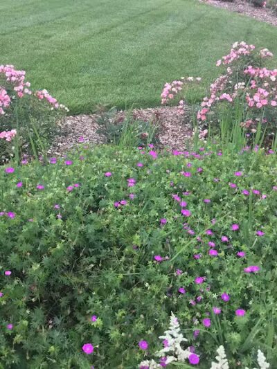 The Burgh Historical Park - Southfield,