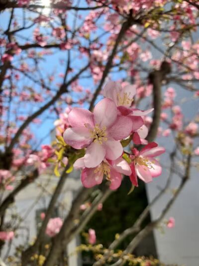 The Burgh Historical Park - Southfield,