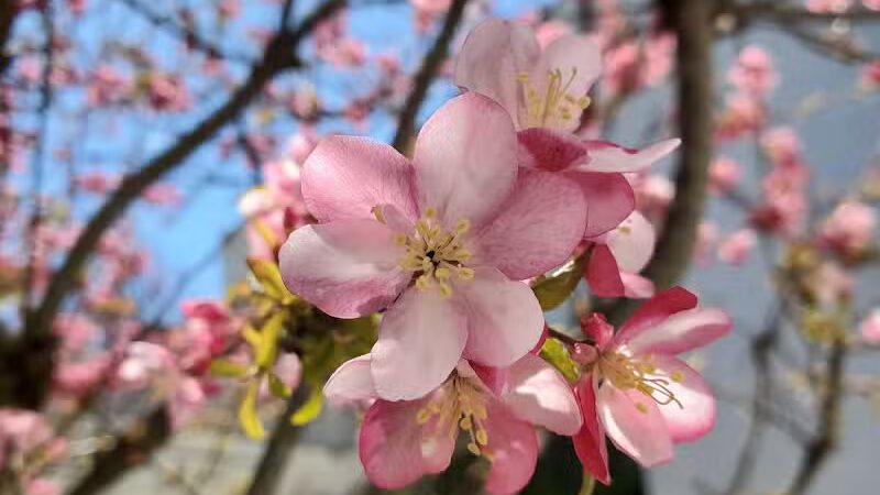 The Burgh Historical Park - Southfield,
