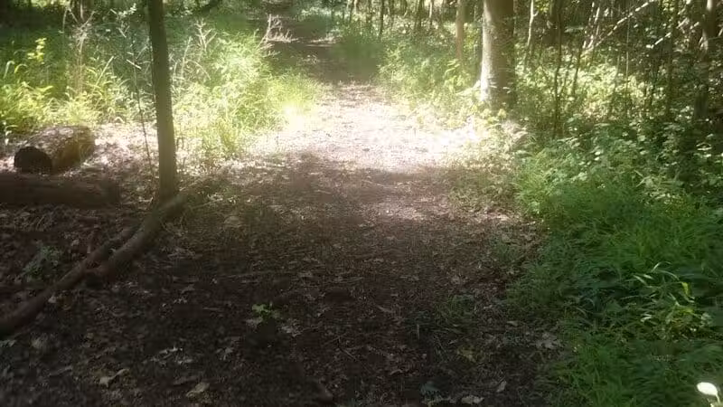 Trailhead #1 - Southfield,