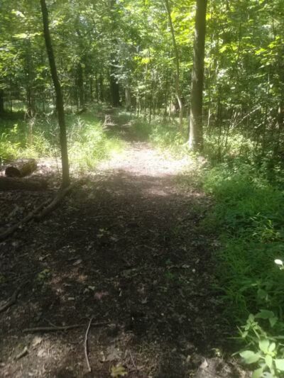 Trailhead #1 - Southfield,