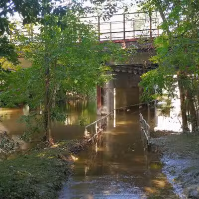 Valley Woods Nature Preserve - Southfield,