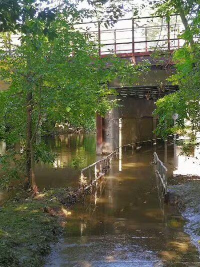 Valley Woods Nature Preserve - Southfield,