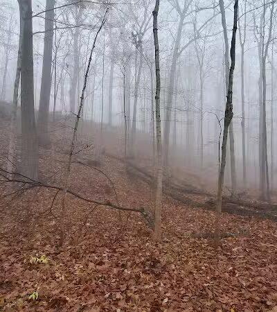 Valley Woods Nature Preserve - Southfield,