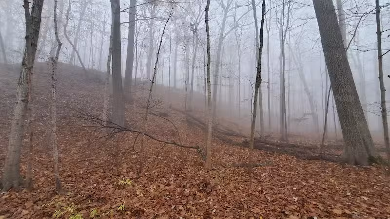 Valley Woods Nature Preserve - Southfield,