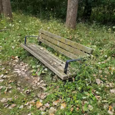 Valley Woods Nature Preserve - Southfield,