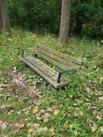 Valley Woods Nature Preserve - Southfield,