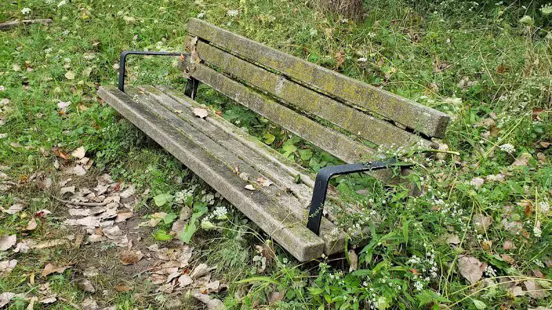 Valley Woods Nature Preserve - Southfield,