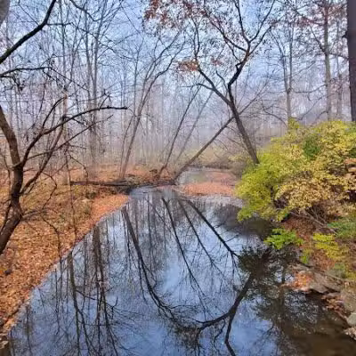 Valley Woods Nature Preserve - Southfield,
