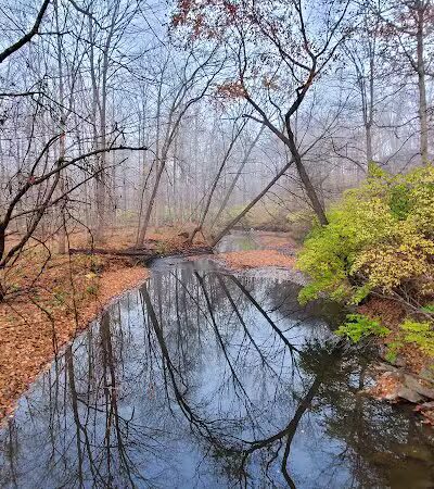 Valley Woods Nature Preserve - Southfield,