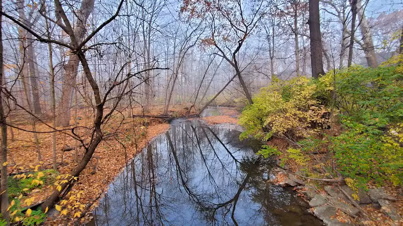 Valley Woods Nature Preserve - Southfield,