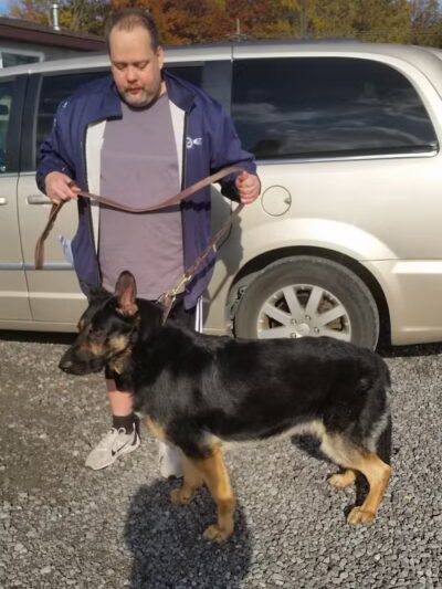 Lion's Park - Southgate,