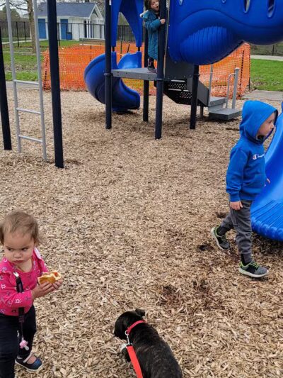 Lion's Park - Southgate,