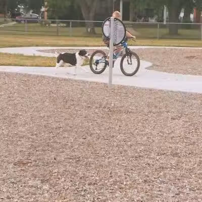 Rotary Park - Southgate,