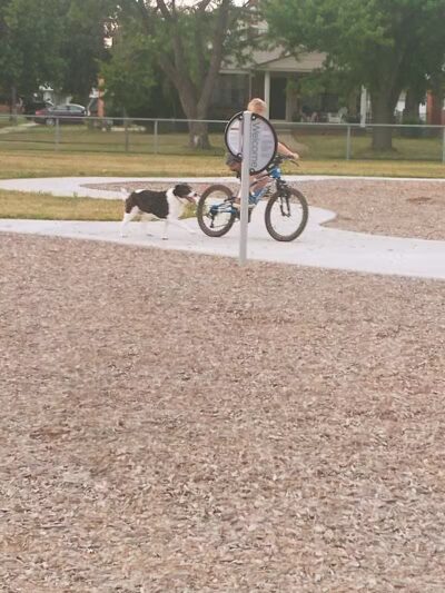 Rotary Park - Southgate,