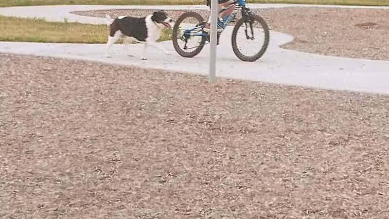 Rotary Park - Southgate,