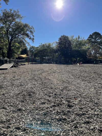 Rail Trail Dog Park - Spartanburg, SC