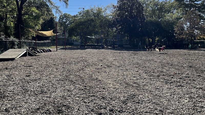 Rail Trail Dog Park - Spartanburg, SC