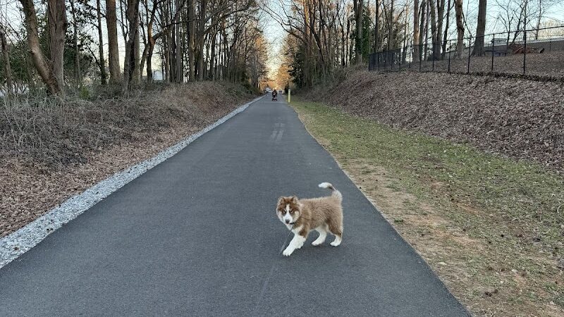 Rail Trail Dog Park - Spartanburg, SC