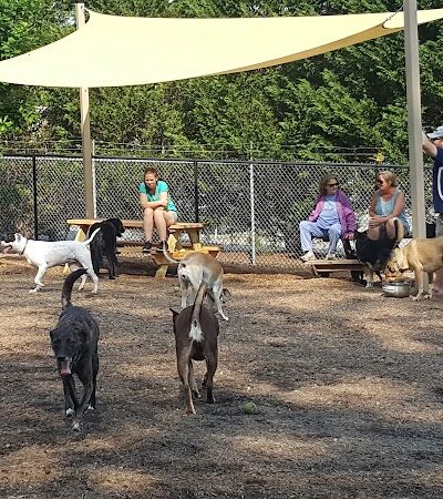 Rail Trail Dog Park - Spartanburg, SC