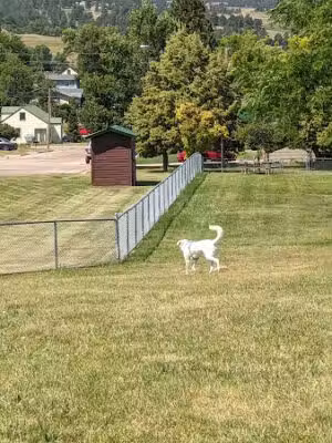 Dog park - Spearfish, SD