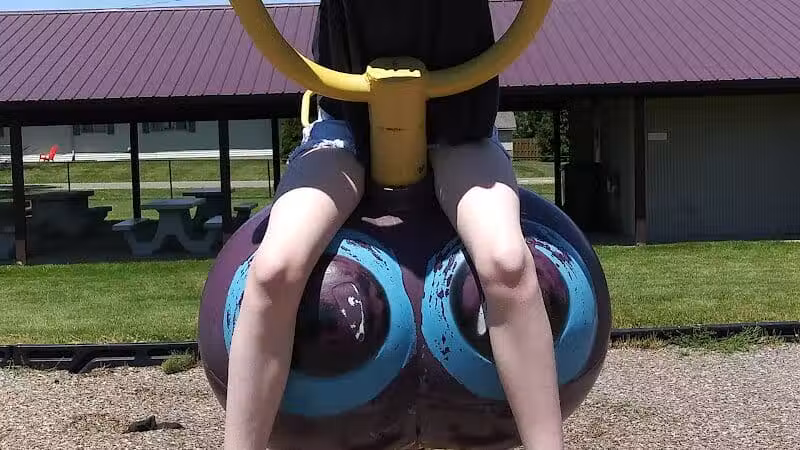 Spring Arbor Township Park - Gallagher Park - Spring Arbor, MI