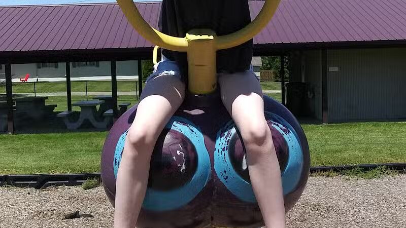 Spring Arbor Township Park - Gallagher Park - Spring Arbor, MI