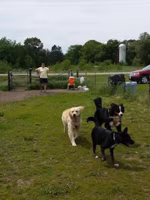Spring Green Dog Park - Spring Green, WI
