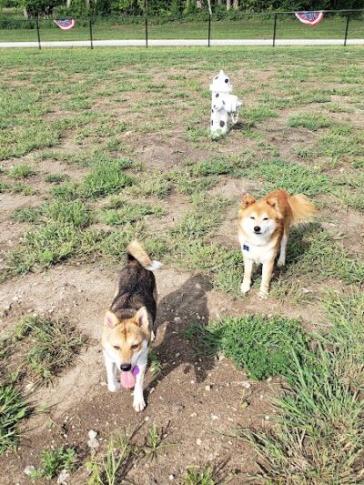 Melvin Murry Dog Park - Spring Hill, KS