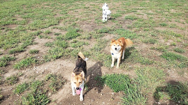 Melvin Murry Dog Park - Spring Hill, KS