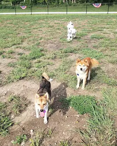 Melvin Murry Dog Park - Spring Hill, KS