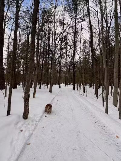 Coast Guard Park - Spring Lake,