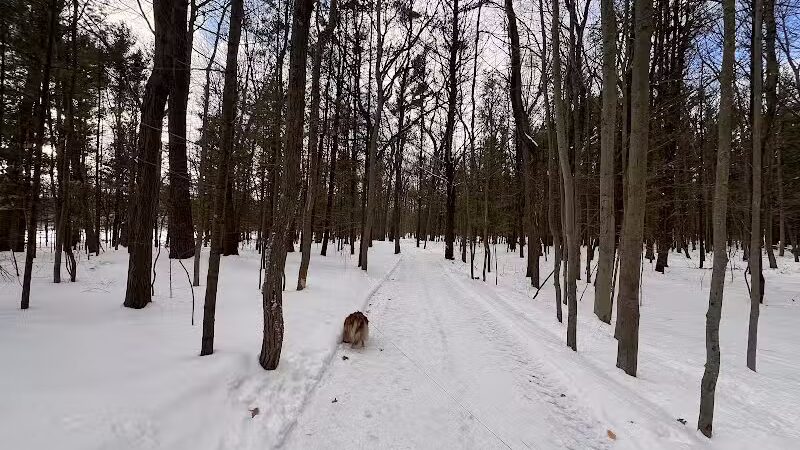 Coast Guard Park - Spring Lake,