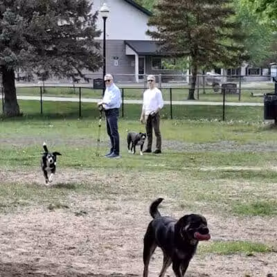 Marv's Bark Park - Dog Park - Spring Lake, MI