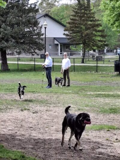 Marv's Bark Park - Dog Park - Spring Lake, MI