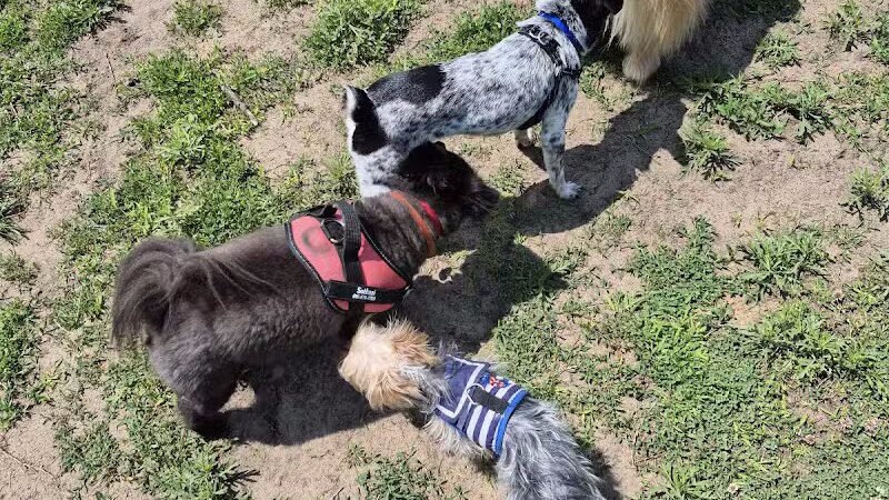 Marv's Bark Park - Dog Park - Spring Lake, MI