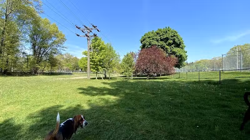 Marv's Bark Park - Dog Park - Spring Lake, MI