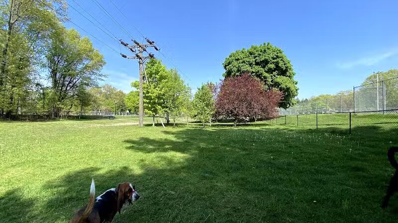 Marv's Bark Park - Dog Park - Spring Lake, MI