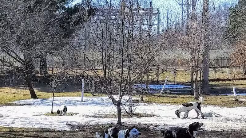 Marv's Bark Park - Dog Park - Spring Lake, MI