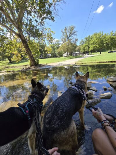 Mountain Lake - Springer, OK