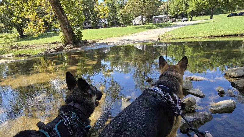 Mountain Lake - Springer, OK