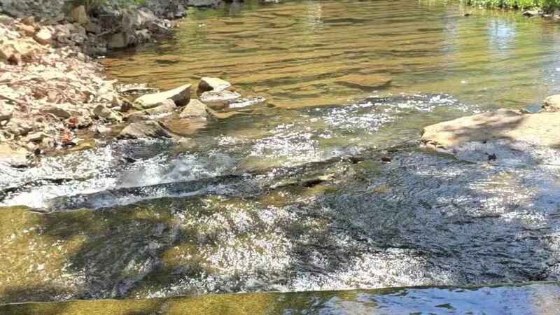 Mountain Lake - Springer, OK