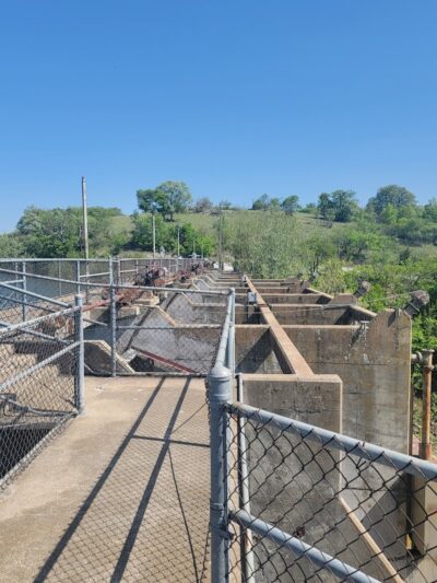 Mountain Lake - Springer, OK