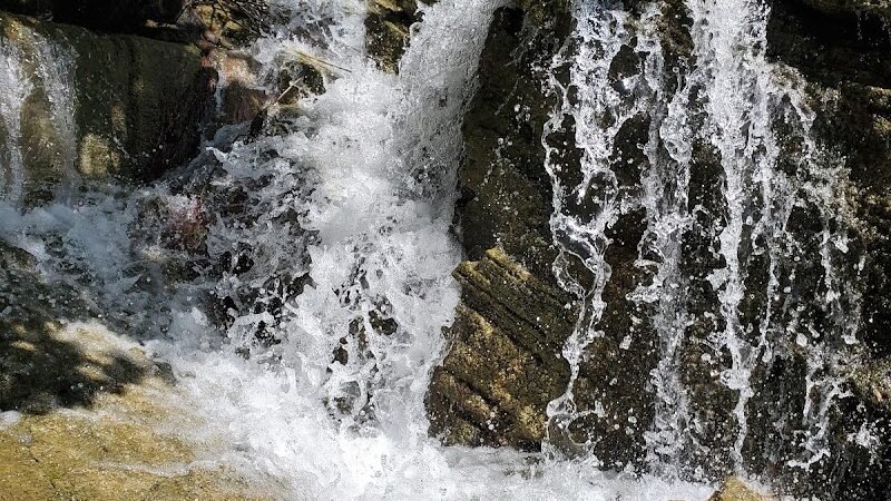 Mountain Lake - Springer, OK