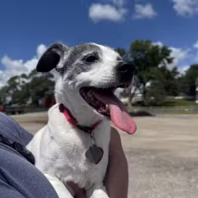 Bark Park Omaha - Private Dog Park - Springfield, NE
