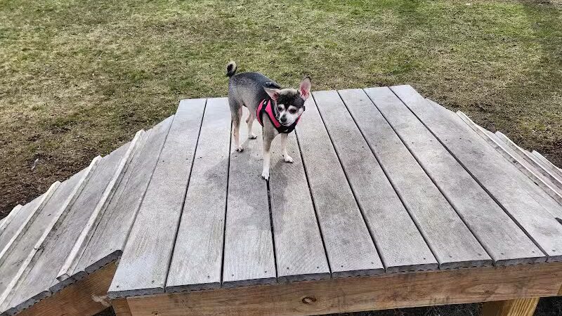 Springfield Dog Park - Springfield,