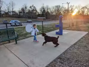 Garner Street Park - Springfield, TN
