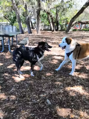 Ron Parker Park - St Augustine Beach, FL