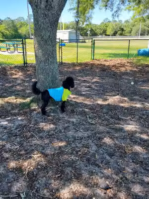 Joe Pomar Park - St. Augustine, FL